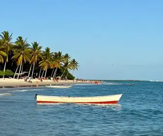 Atrações imperdíveis na Praia do Gunga - AL