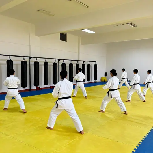 Das Alagoas Esportes De Combate