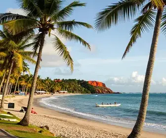 Descubra 4 lugares incríveis na Praia do Gunga – AL