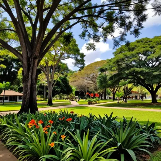 Descubra o Parque Municipal de Maceió