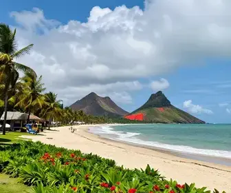 Melhores lugares para desfrutar na Praia do Gunga - AL: guia atualizado
