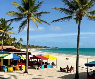 Os melhores lugares para visitar na Praia do Gunga em Alagoas