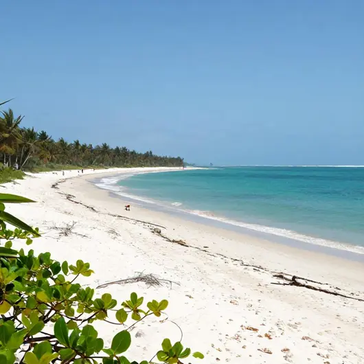 Passeio Privativo para Praia do Gunga